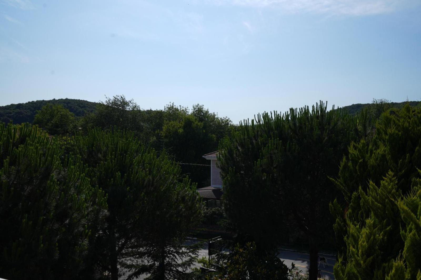 Butterfly Boutique Hotel Agva Kültér fotó